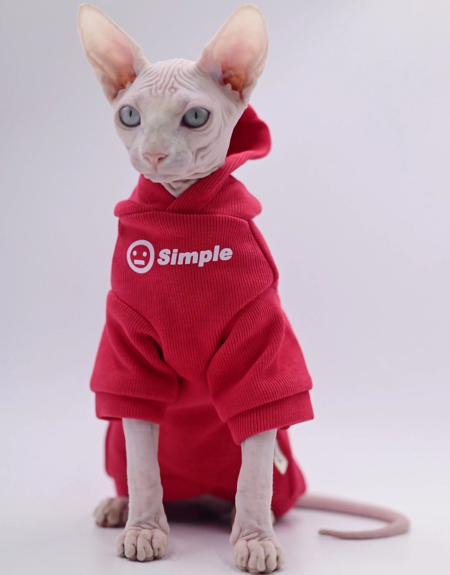 Hairless Ball Cat Apparel, Sphynx Cat Apparel, Kitty Clothes, Autumn and Winter Outfits