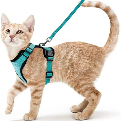 Cat dog collar vest harnesses leash Outdoor walk pet Anti-escape reflective kitten collar small dog chest breathable leashes