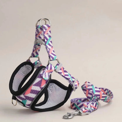 One Dog Harness and Leash Set - Comfort Adjustable - Escape Prevention Pet Leash Vest - For Small to Medium Dogs