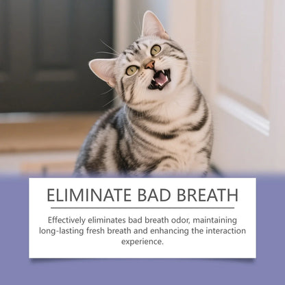 Drinkable Pet Water Additive Dental Care for Dogs Cats Natural Oral Hygiene Freshens Breath Removes Plaque Control Safe Gentle