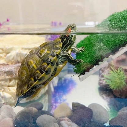 Turtle Basking Platform Resting Simulation Habitat Lawn Ramp Tortoise Dock Floating Island Reptile Terrarium Aquarium Accessory
