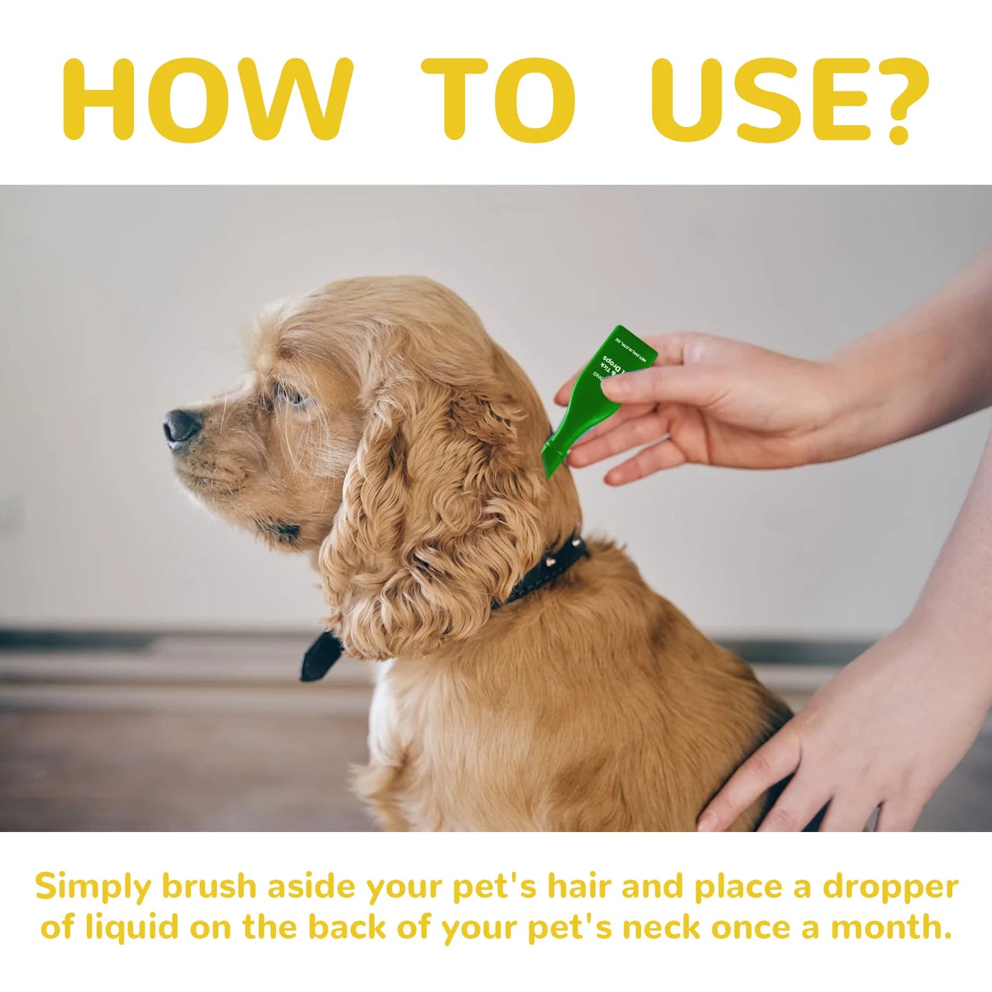 Pet Flea & Tick Drops Effectively Drive Away Fleas Mites Improve Pet Skin Healthy Relieve Itching Discomfort Pet Skin Care Agent