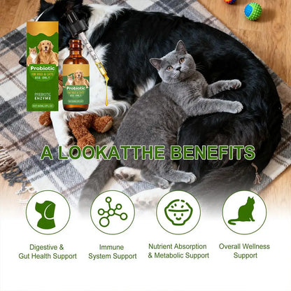 Pet Nutrition Supplement Probiotic Drops Containing Enzymes Used For Dog Cat Digestion And Immune Support Health Supplement