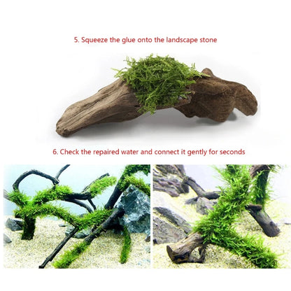 Fish Tanks Landscaping Aquarium No Marks Aquarium Supplies