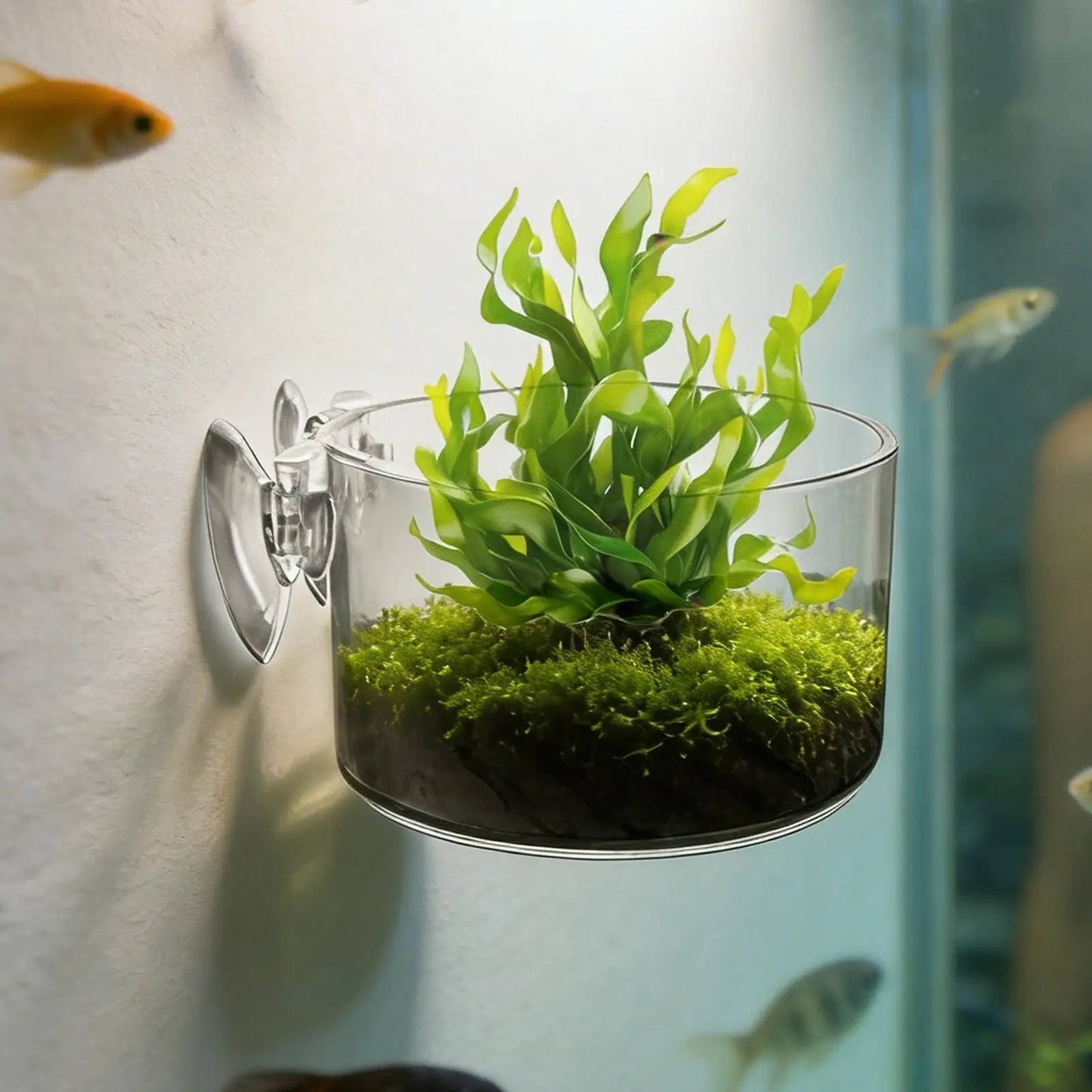 aquarium plant Cup  Hanging fish tank Water potted planting cylinder cup aquarium  plant holder  Aquarium decoration