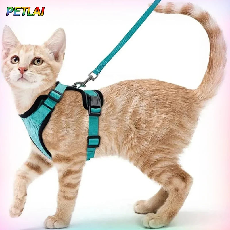 Cat dog collar vest harnesses leash Outdoor walk pet Anti-escape reflective kitten collar small dog chest breathable leashes