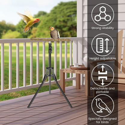Wood Bird Training Perch Stand Height Adjustable Bird Perch Toys Indoor Outdoor Versatile Bird Parrot Play Training Station Pole