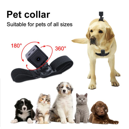 MD38 Mini Camera Pet Camera HD 1080P Camera Wearable Body Cam Collar Wireless Dog Cat Walking Recorder