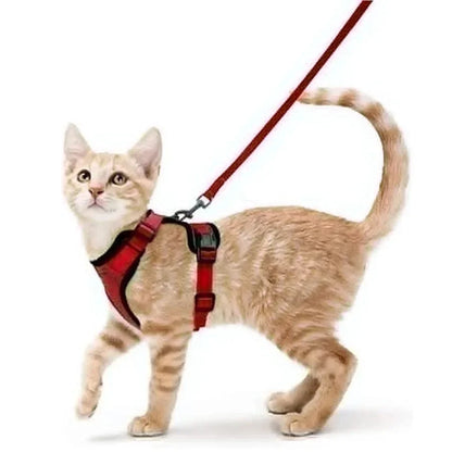 Cat dog collar vest harnesses leash Outdoor walk pet Anti-escape reflective kitten collar small dog chest breathable leashes