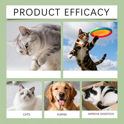 Pet Nutrition Supplement Probiotic Drops Containing Enzymes Used For Dog Cat Digestion And Immune Support Health Supplement