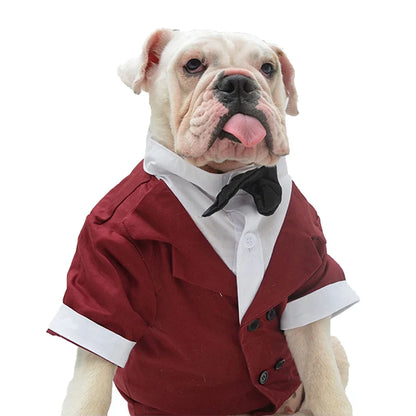 Halloween Dog Costume Pet Formal Tuxedo Dress & Wedding Suit Big Dog Clothes with Black Bow Cosplay Large Pet Clothing for Party