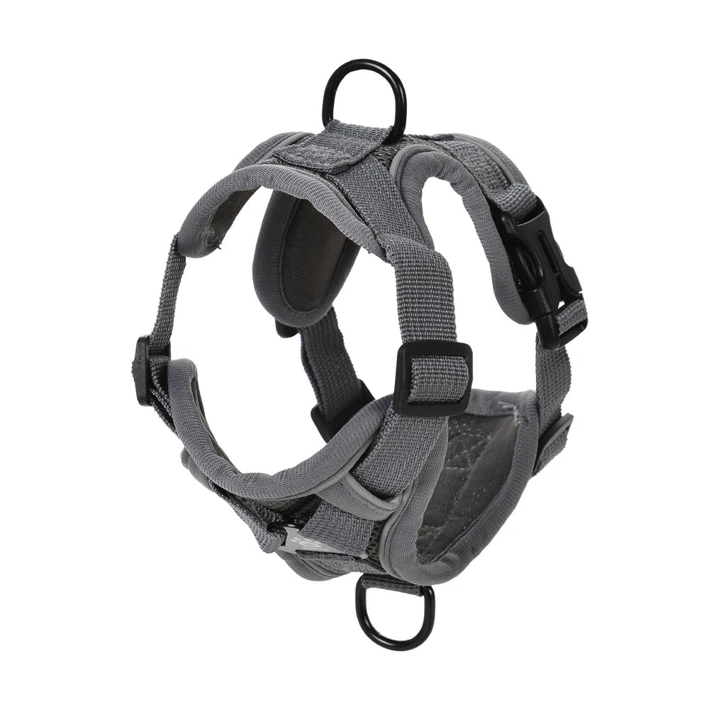 Pet Harness and Leash Set Reflective Walking Puppy Vest Chest Strap For Small Dogs Cats Breathable Outdoor Harnesses With D-Ring