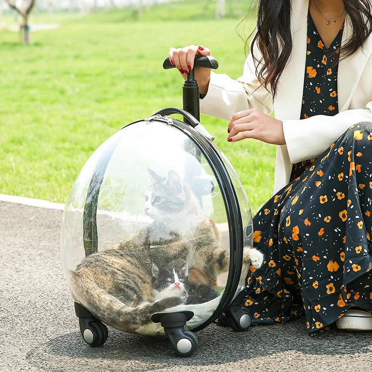 Pet Transparent Trolley Case Cat Dog Travel Convenient Portable Large Capacity Cart Ventilate Pet Carriers Supplies Accessories