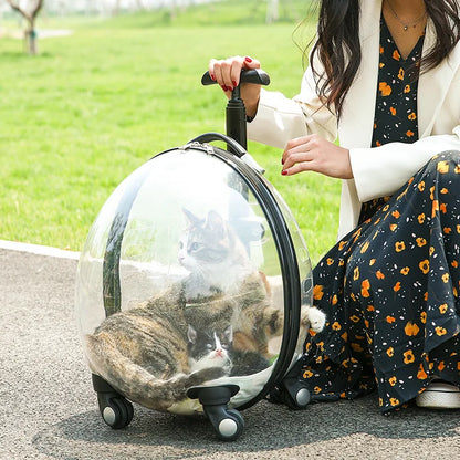 Pet Transparent Trolley Case Cat Dog Travel Convenient Portable Large Capacity Cart Ventilate Pet Carriers Supplies Accessories