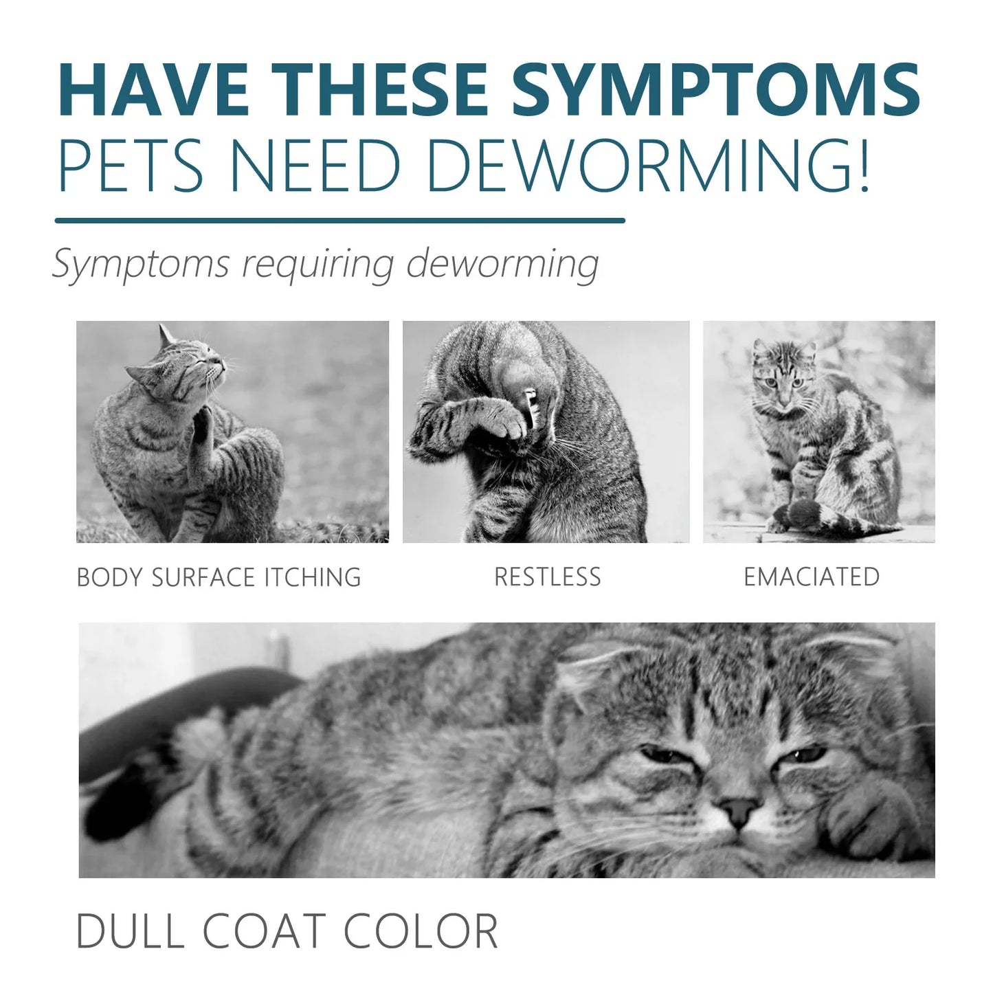 Pet Flea Killer Drops Anti Fleas Cats Ticks Lice Mite Removal Relieve Itching Dogs Ringworm Treatment Pet Skin Care Spray