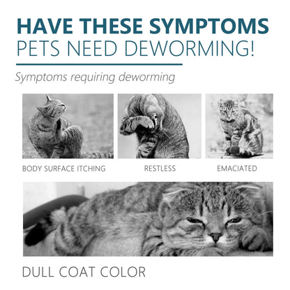 Pet Flea Killer Drops Anti Fleas Cats Ticks Lice Mite Removal Relieve Itching Dogs Ringworm Treatment Pet Skin Care Spray