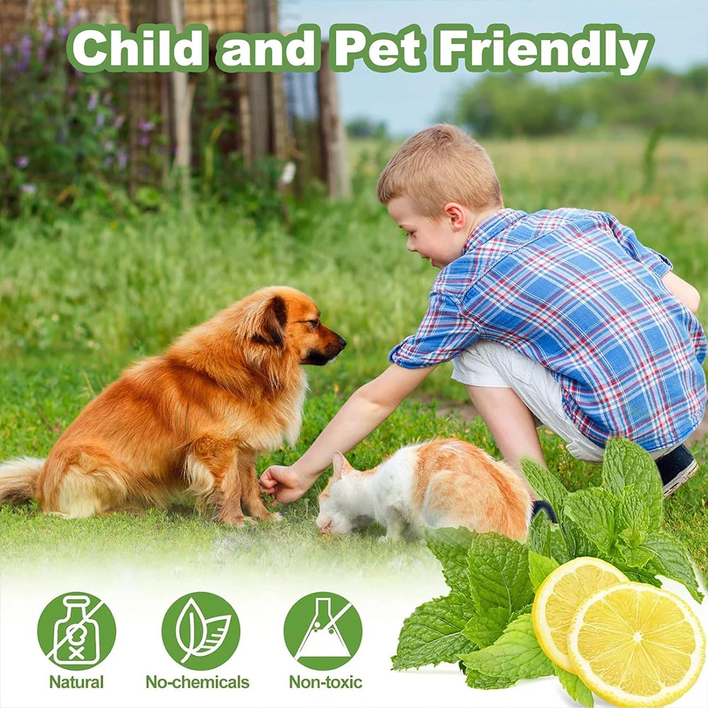 1/2set Cat Deterrent Outdoor Indoor Natural Peppermint Oil Cat Deterrent Ball Cat Repellent Keep Cats Off Yard Garden Lawn Plant