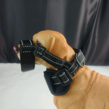Dog Daily Necessities Bite Prevention Barking Prevention Muzzle Leash Compatible Outdoor Dog Walking Muzzle Protection Jaw Dog