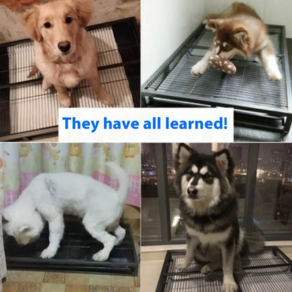 Large Dog Toilet for Golden Retriever Husky Puppy Potty Training Pee Pad Pet Furniture Housebreaking Supplies for Big Dogs