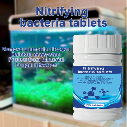 Aquarium Filter Media Set:Hollow Quartz Balls, Algae Remover, Nitrifying Bacteria, Conditioner&Bio-Clear Tabs for Fish Tank Care