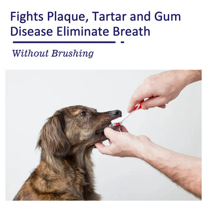 Pet Toothpaste Reduce Tartar Remove Dental Stain Eliminate Bad Breath Deodorant Whitening Dog Cat Teeth Pet Oral Care Toothpaste