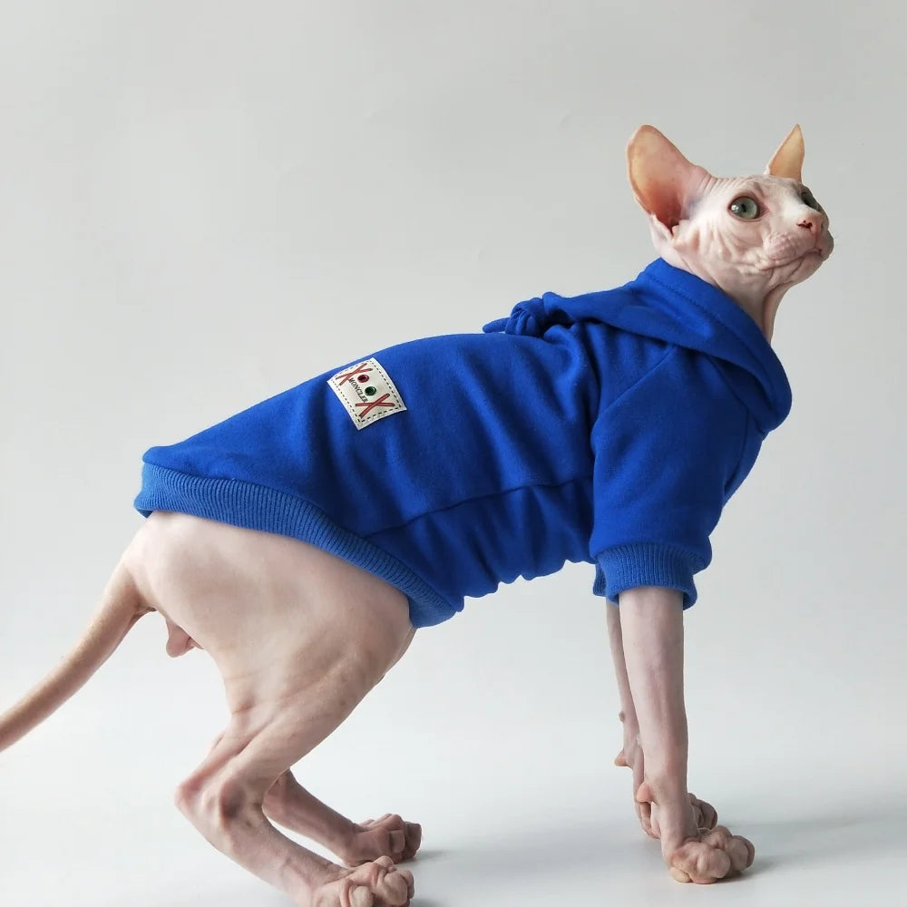 Halloween Cat Costume Hairless cat Witch Hat Hoodie Autumn Winter Coat Warm Fleece Sweatshirt for Kittens Green Red Blue Jacket