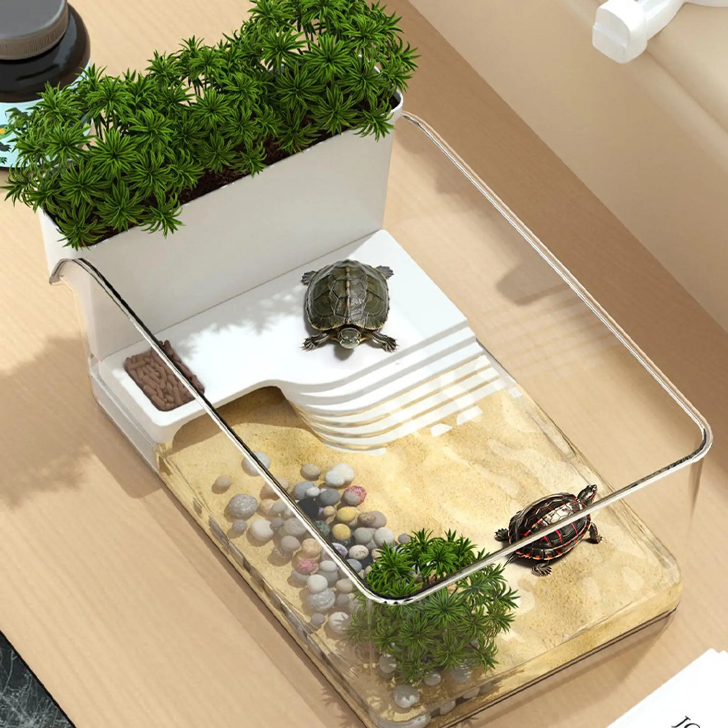 Aquatic Turtle Tank Reptile Habitat Box Transparent Small Tortoise Breeding Box for Reptile Crab School Science Class Nature