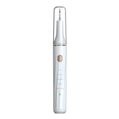 Pet Oral Care Dental Beauty Device Electric Dental Flusher for Dogs Portable Dental Stone Removal Ultrasonic Cleaner
