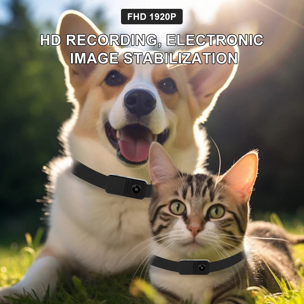 HD 1080P Pet Cameras Outdoors Wireless Collar Camera No WiFi Needed Video Records for Cats Dogs Birthday Gift Mini Camera