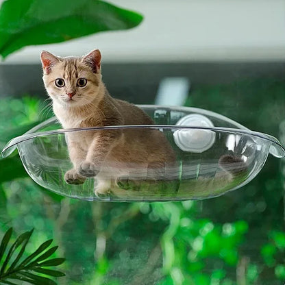 Window Bed for Cats Kitten Accessories Hammock Hanging Balcon Summer Beds Furniture Houses Hammack Pet Hammocks Pets House Cat