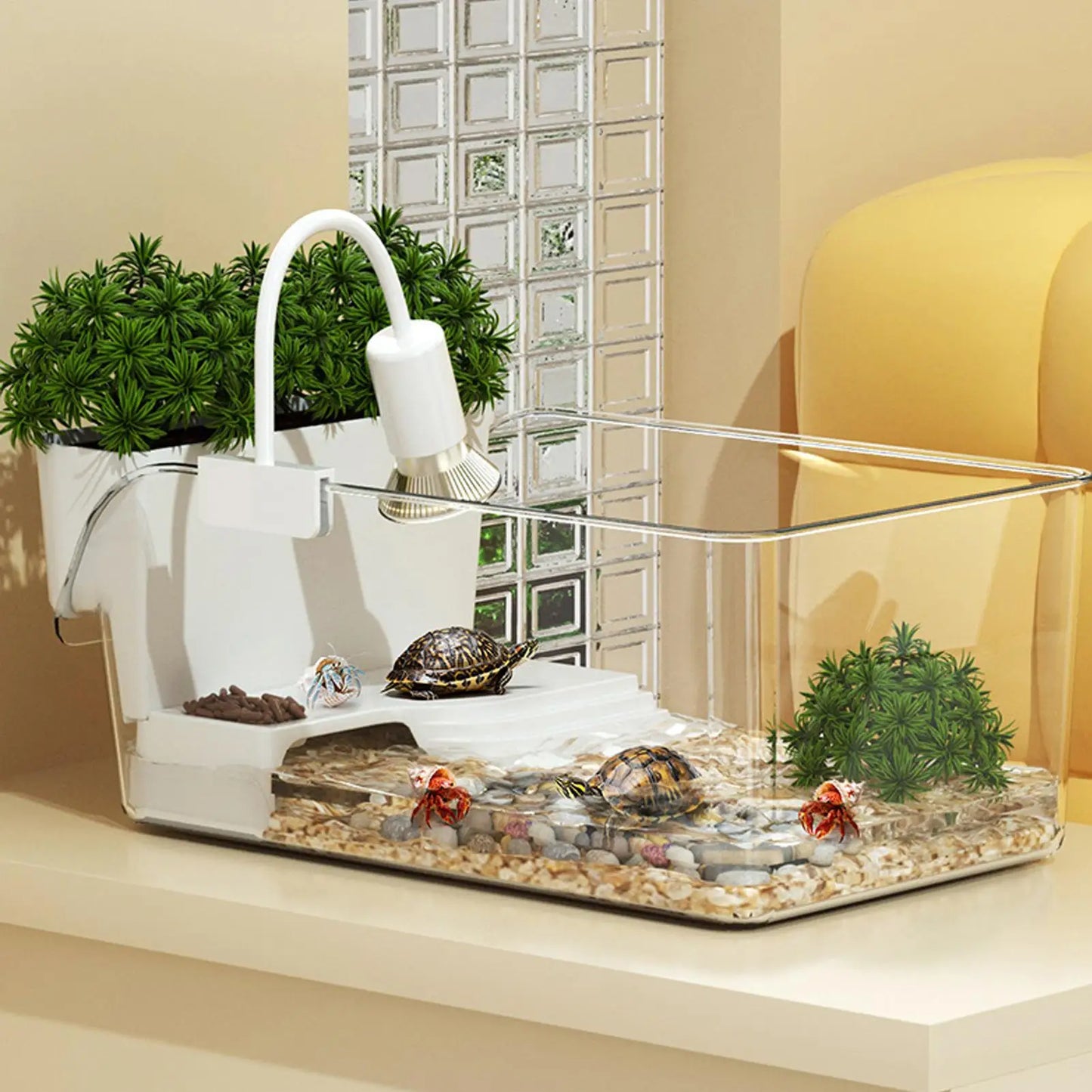 Aquatic Turtle Tank Reptile Habitat Box Transparent Small Tortoise Breeding Box for Reptile Crab School Science Class Nature
