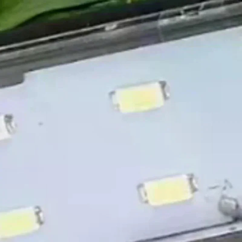 High-Intensity LED Aquarium Light, Waterproof, Ideal for Fish Tank Plant Growth