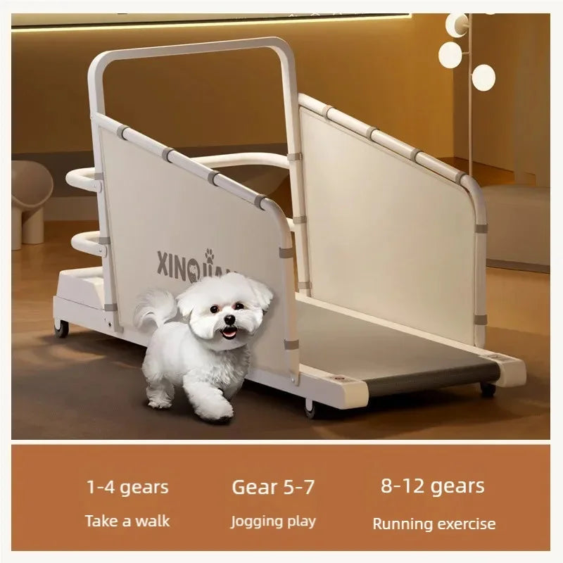 Dog treadmill, large, medium, small, dog, cat, universal animal, home use, sports training, walking machine, pet