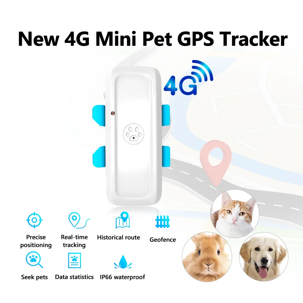 4G GPS Tracker For Pet Dog Real Time Tracking System Locator Collar GPS