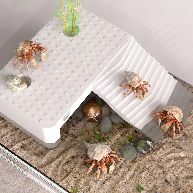 Transparent Reptile Terrarium Tank with Basking Area for Pet Turtles Hermit Crabs Tortoise - Turtle Adoption Habitat