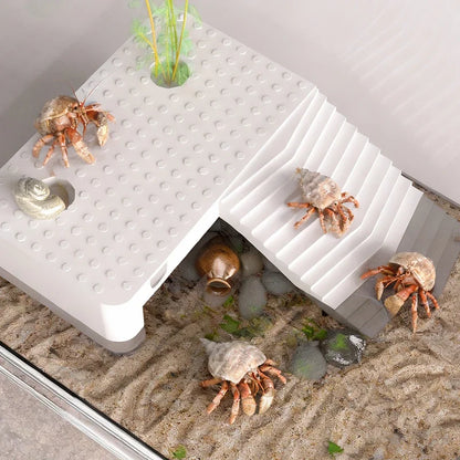 Transparent Reptile Terrarium Tank with Basking Area for Pet Turtles Hermit Crabs Tortoise - Turtle Adoption Habitat