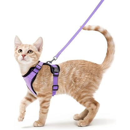 Cat dog collar vest harnesses leash Outdoor walk pet Anti-escape reflective kitten collar small dog chest breathable leashes