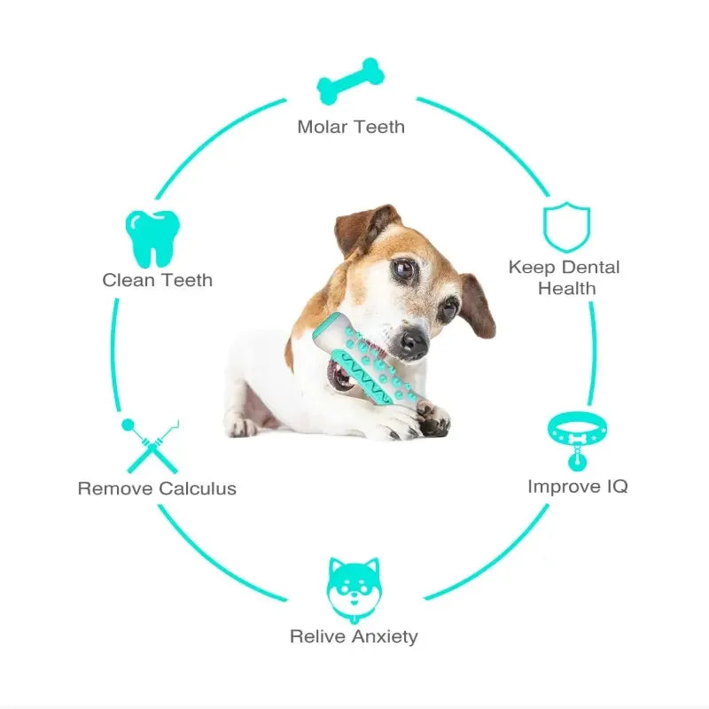 1PCS Dog Dental Chew Toys for Teeth Cleaning Puppy Teething Sticks & Chewable Bone Toothbrush Enzymatic Oral Care Fresh Breath