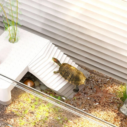Transparent Reptile Terrarium Tank with Basking Area for Pet Turtles Hermit Crabs Tortoise - Turtle Adoption Habitat