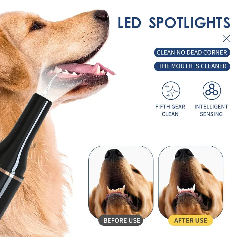 Pet Oral Care Dental Beauty Device Electric Dental Flusher for Dogs Portable Dental Stone Removal Ultrasonic Cleaner