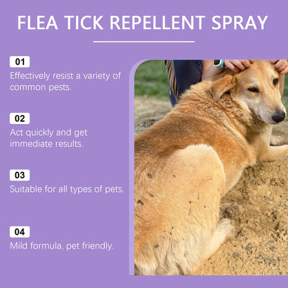 YEGBONG 50ml Flea Tick Prevention Spray for Dogs and Cats Fast Acting Waterproof Outdoor Protection with Natural Essential Oils
