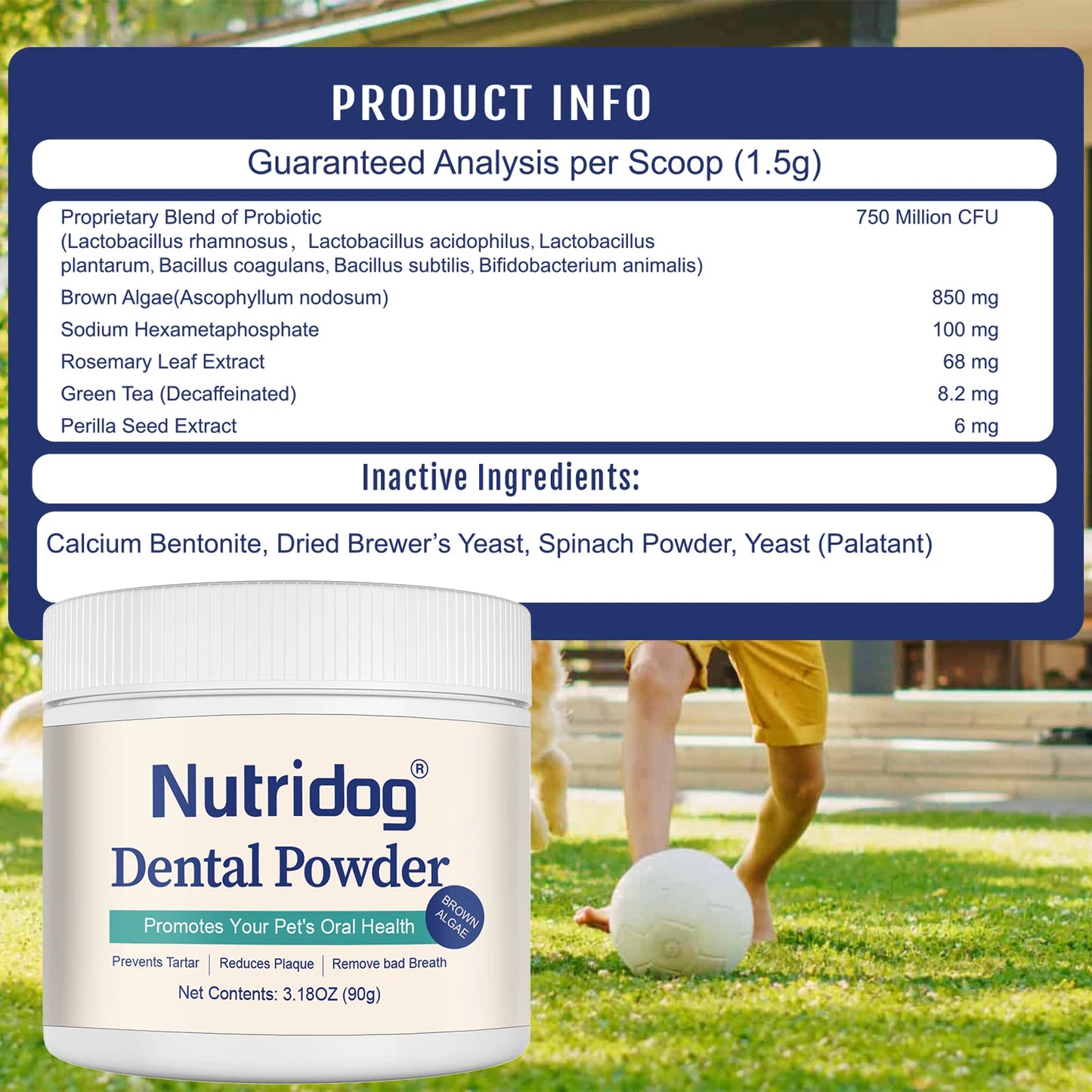 NUTRIDOG Dental Care Powder with Green Tea Plaque Remover for Dogs&Cats Prevent Periodontal Disease Bad Breath