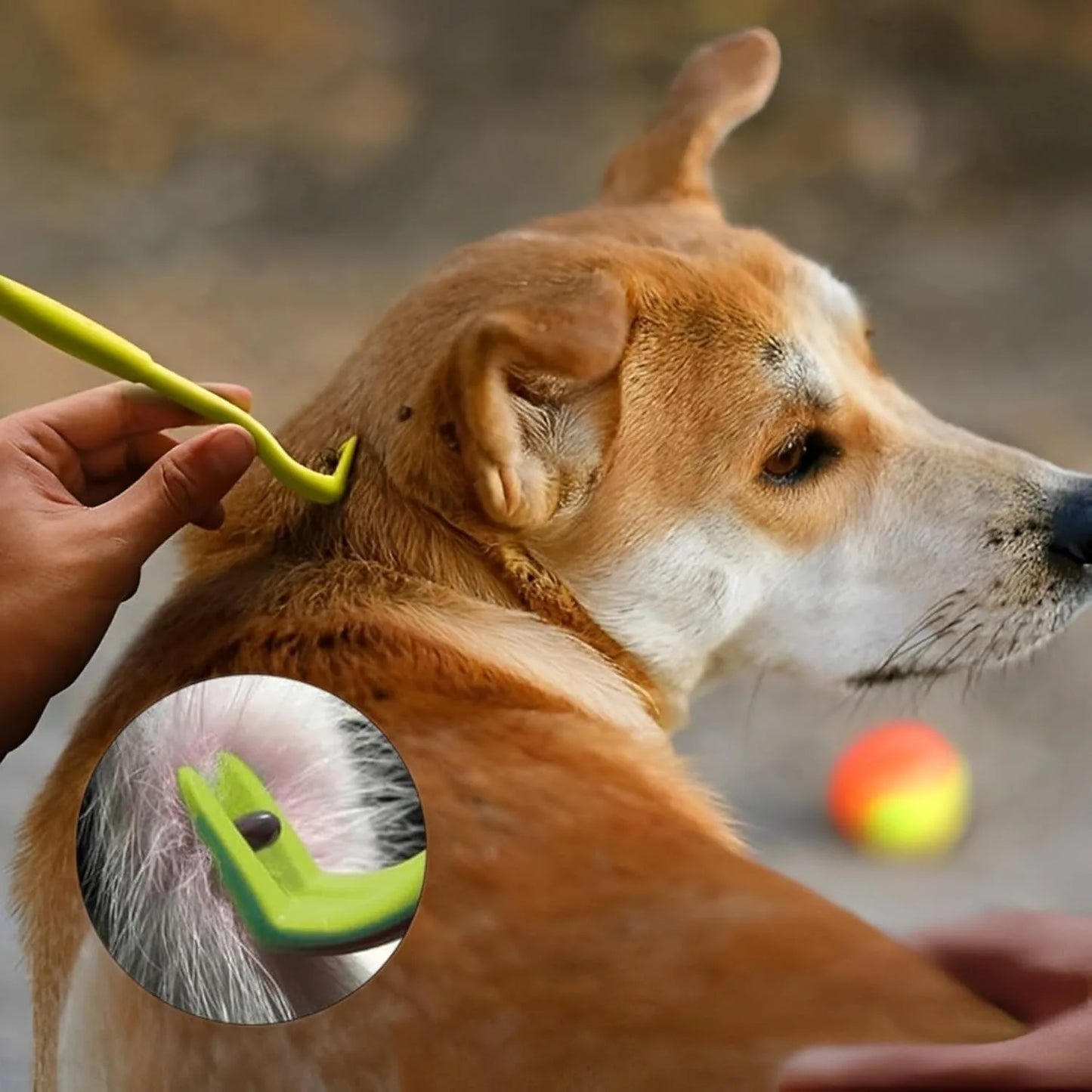 5Sets Flea Remover Hook Tick Remover Tweezer Tick Pull Pet Cat Dog Tick Clamp Accessaries Pet Mite Flea Extractor Dog Accessarie