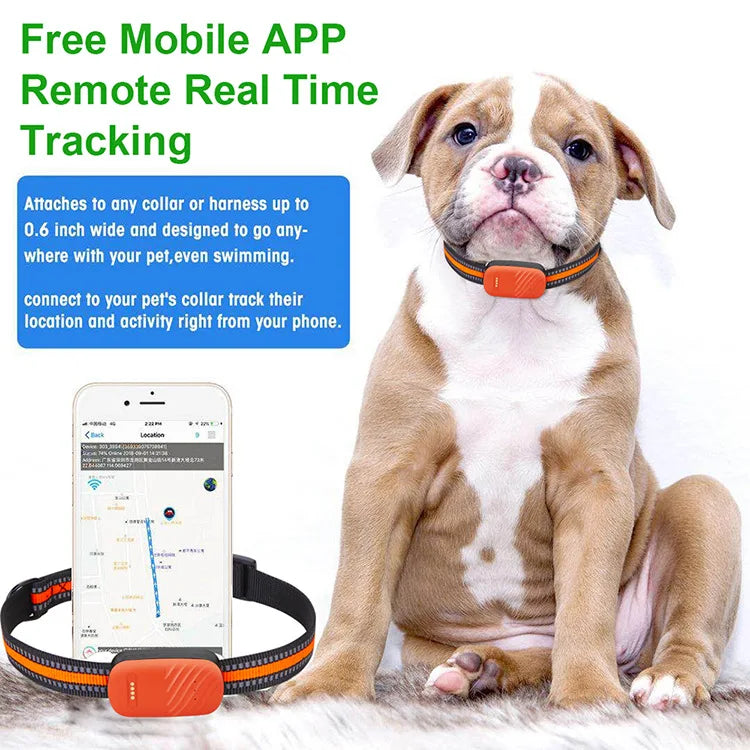 Global Pet Locator Dog GPS 4G IP67 Waterproof Anti-Lost Tracking Collar With AGPS/GSM/LBS Positioning