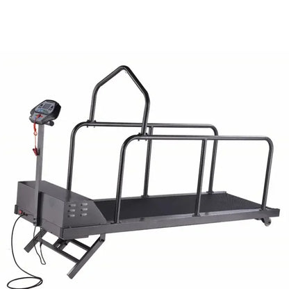 High Speed Dog 110KG Treadmill Walking Machine Training Exercise Pet Rehabilitation Pet Treadmill for Dogs MSL-C400