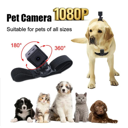 Pet Camera 1080p Sports Camera Portable Magnetic Suction 120 ° Wide-angle Field Of View Wearable Camera Dog Walking Cat Recorder