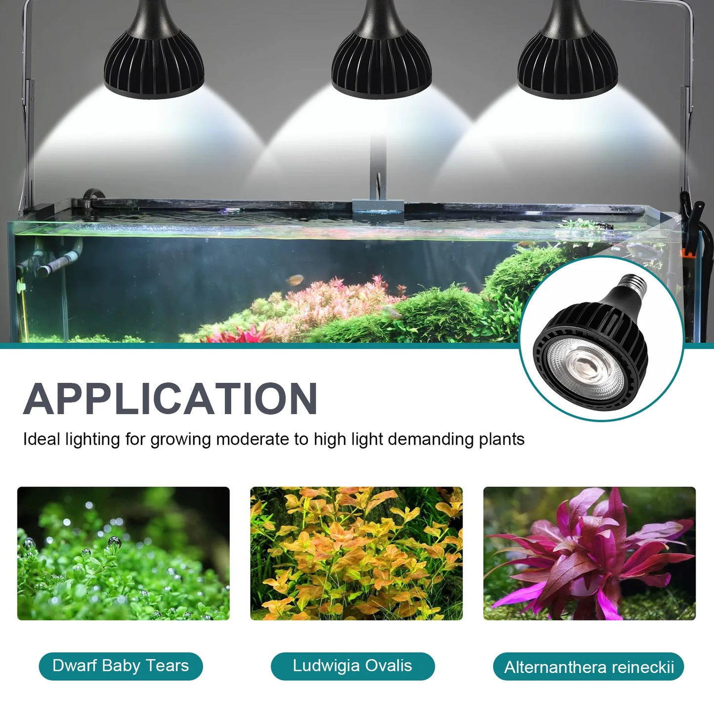LED Aquarium Light For Fish Tank Plants Grow Light 10W/20W/30W  Freshwater Aquatic Plant Lighting Plant Growing Lamp 3000K/6000K