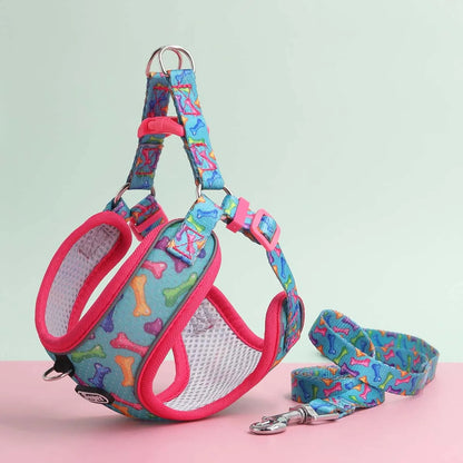 One Dog Harness and Leash Set - Comfort Adjustable - Escape Prevention Pet Leash Vest - For Small to Medium Dogs