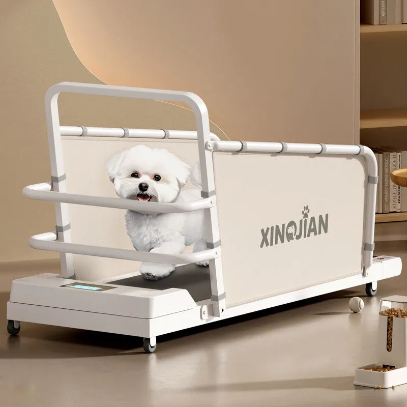 Dog treadmill, large, medium, small, dog, cat, universal animal, home use, sports training, walking machine, pet