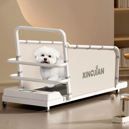 Dog treadmill, large, medium, small, dog, cat, universal animal, home use, sports training, walking machine, pet